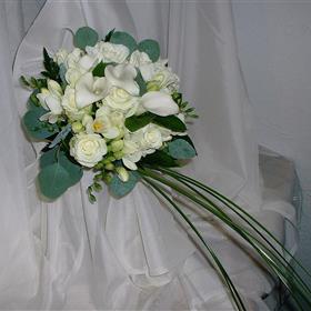 fwthumbCNV00006 (4) - Copy.jpg